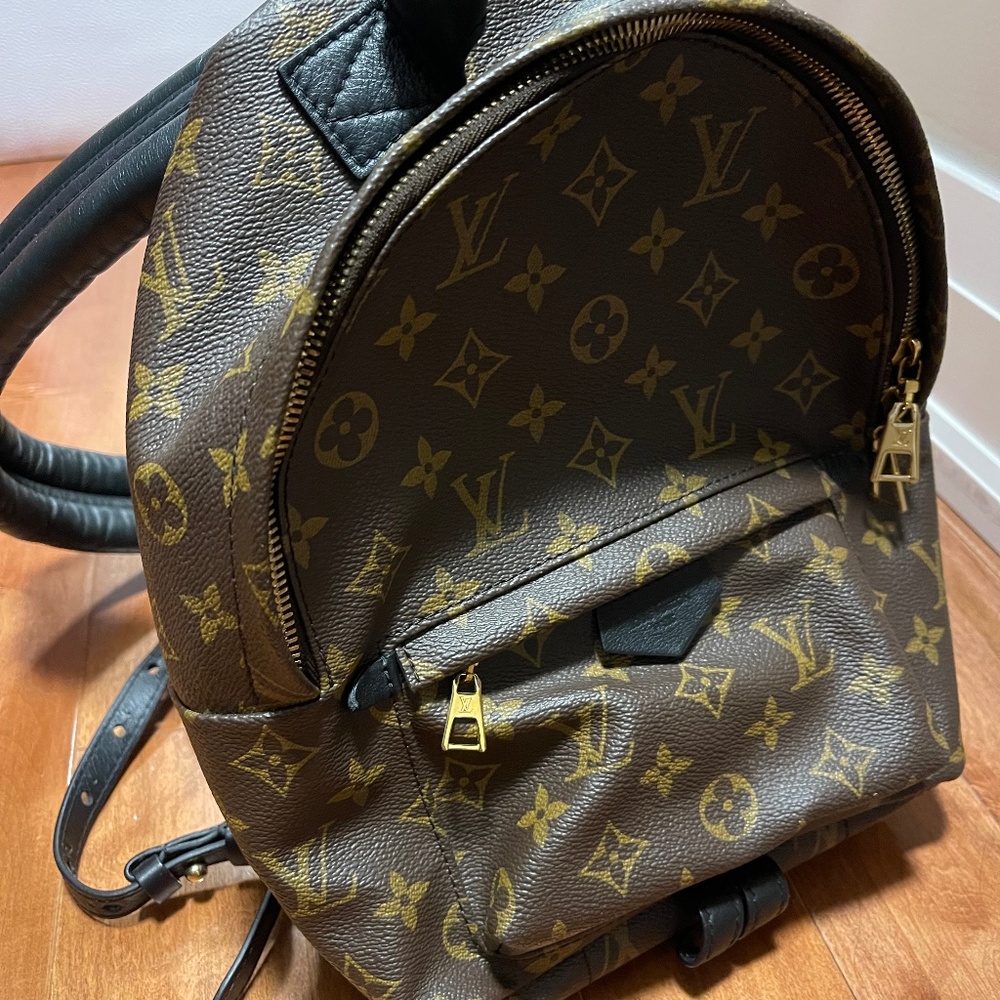 Louis Vuitton Palm Spring PM - Picture 1 of 3